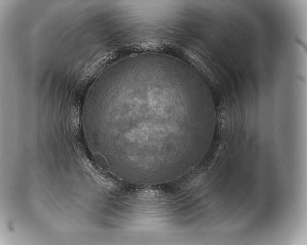 X0000101160593200807071200