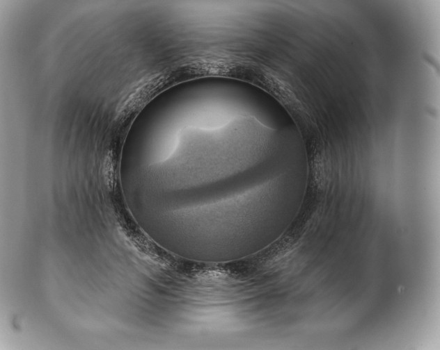 X0000101160594200807071200