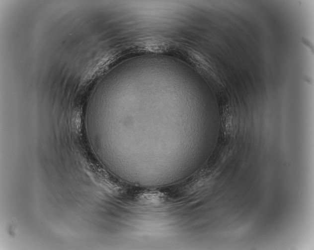 X0000101160595200807071200