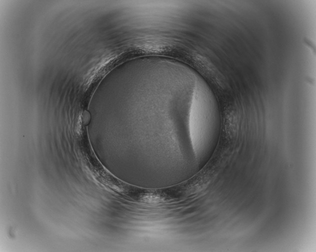 X0000101160596200807071200