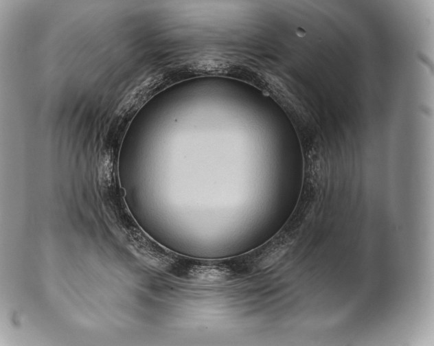 X0000101160597200807071200