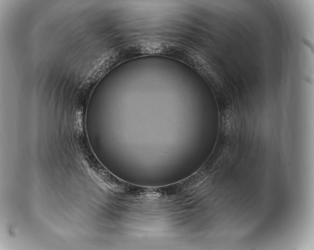 X0000101160598200807071200