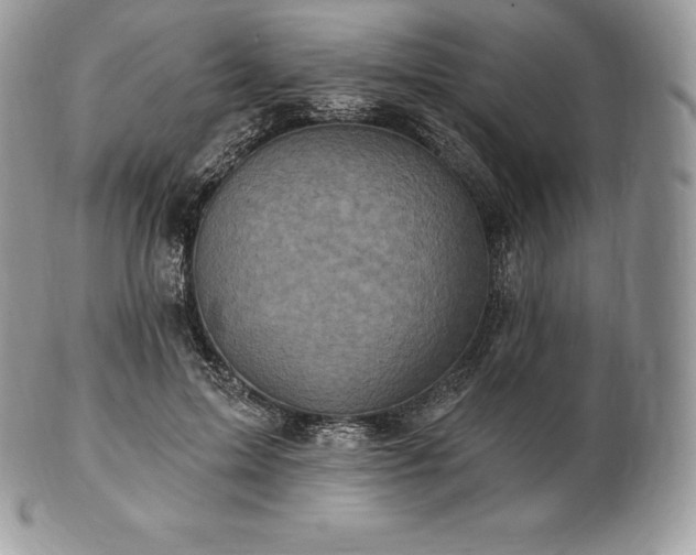 X0000101160599200807071200