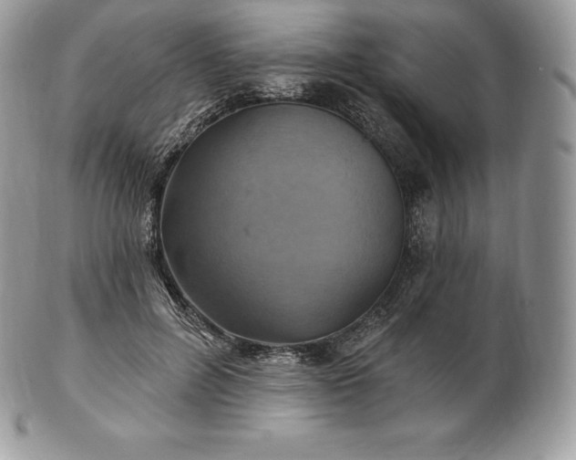 X0000101160600200807071200