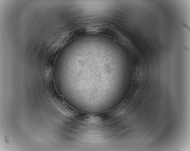 X0000101160601200807071200