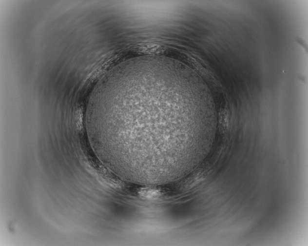 X0000101160602200807071200