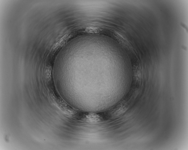 X0000101160603200807071200