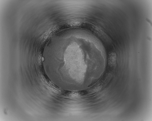 X0000101160604200807071200