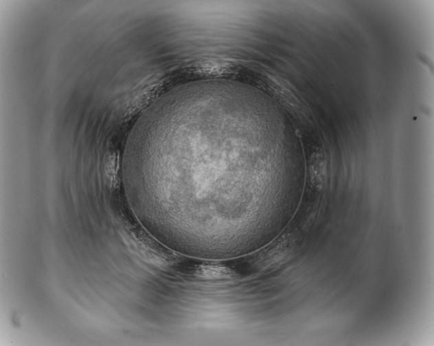 X0000101160605200807071200