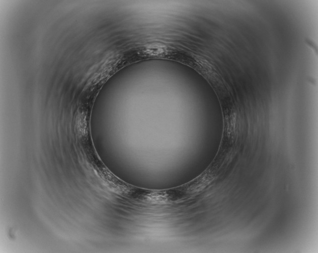 X0000101160606200807071200