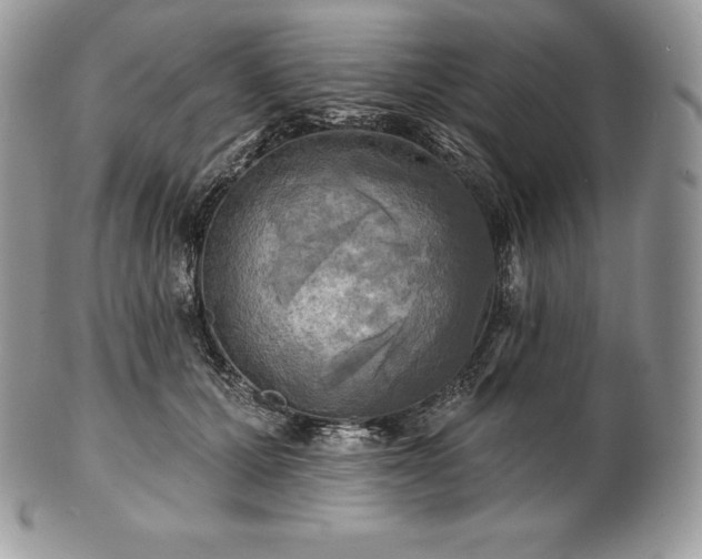 X0000101160607200807071200