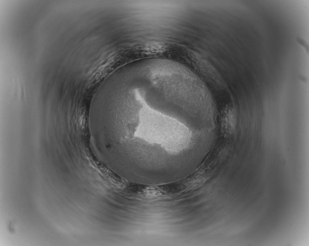 X0000101160608200807071200