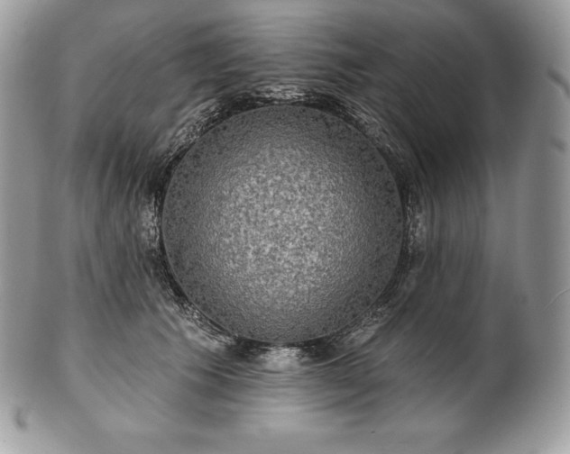 X0000101160609200807071159