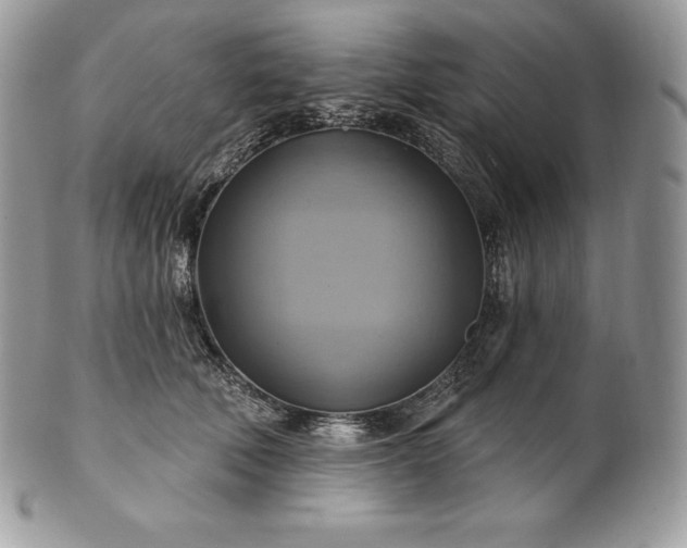 X0000101160610200807071159