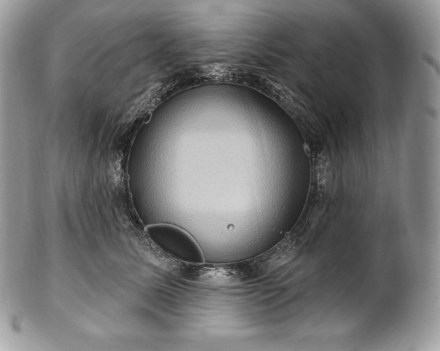 X0000101160611200807071159