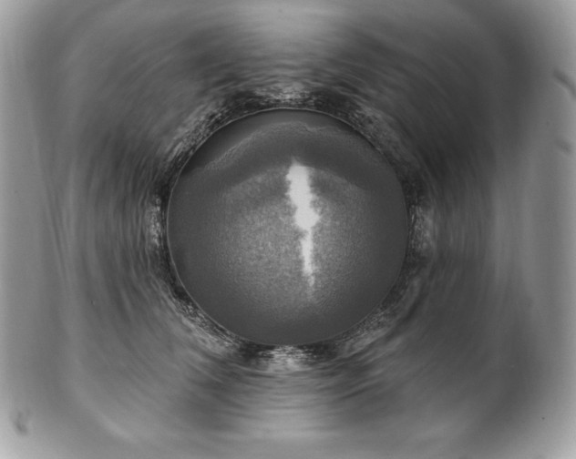 X0000101160612200807071159