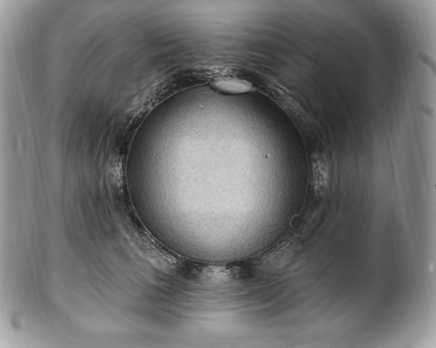 X0000101160613200807071159