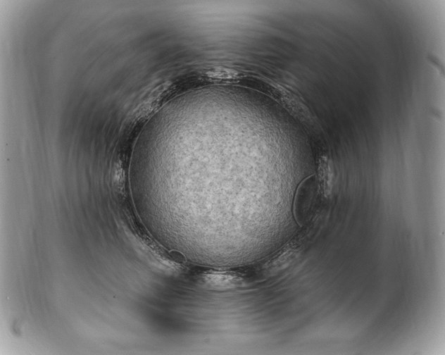 X0000101160614200807071159