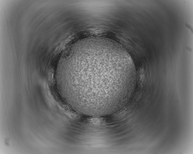 X0000101160615200807071159