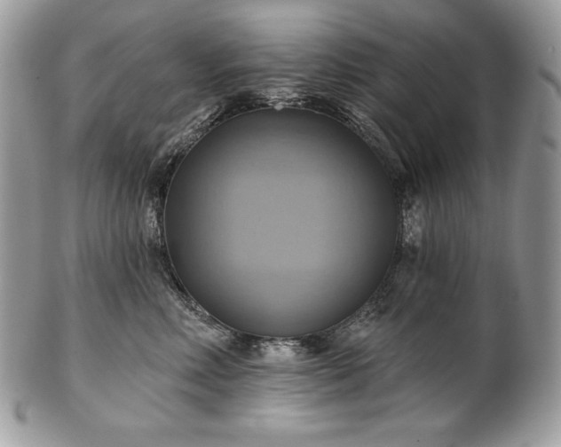 X0000101160618200807071159