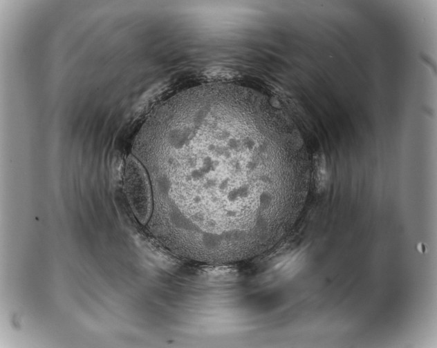 X0000101160619200807071159