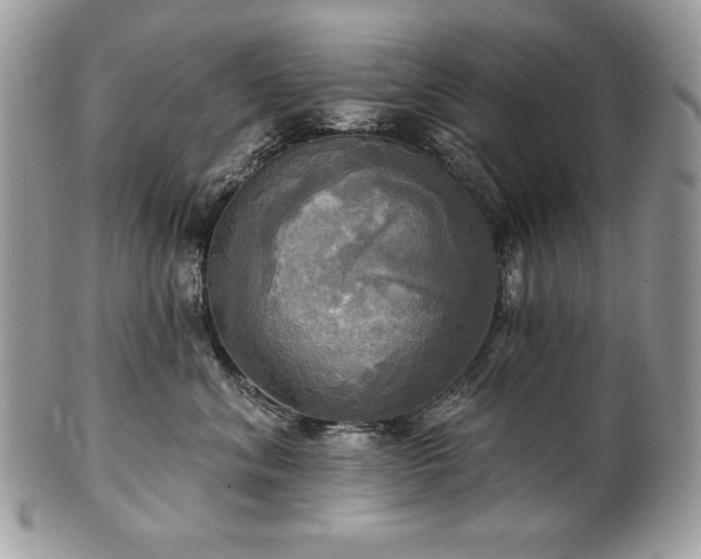 X0000101160620200807071159