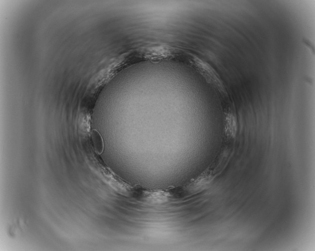 X0000101160621200807071159