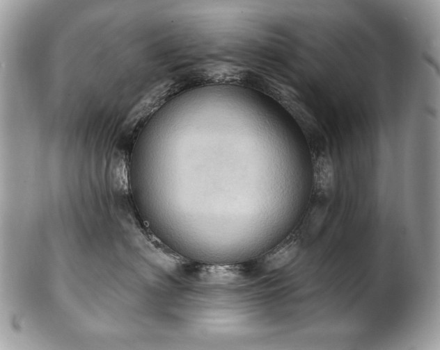 X0000101160622200807071159