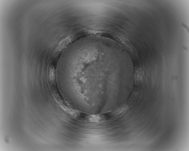 X0000101160623200807071159