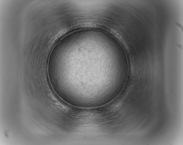 X0000101160625200807071158