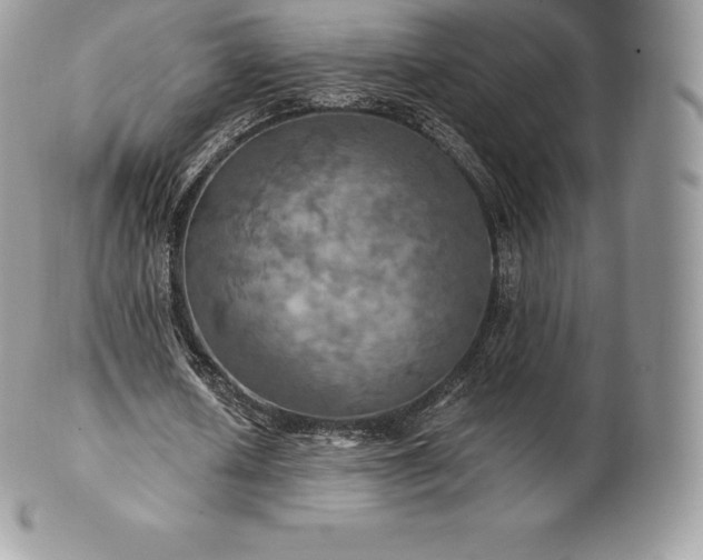 X0000101160626200807071158