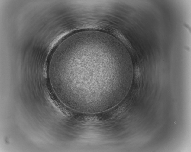 X0000101160628200807071158