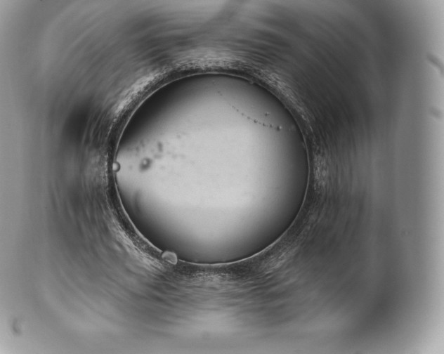 X0000101160629200807071158