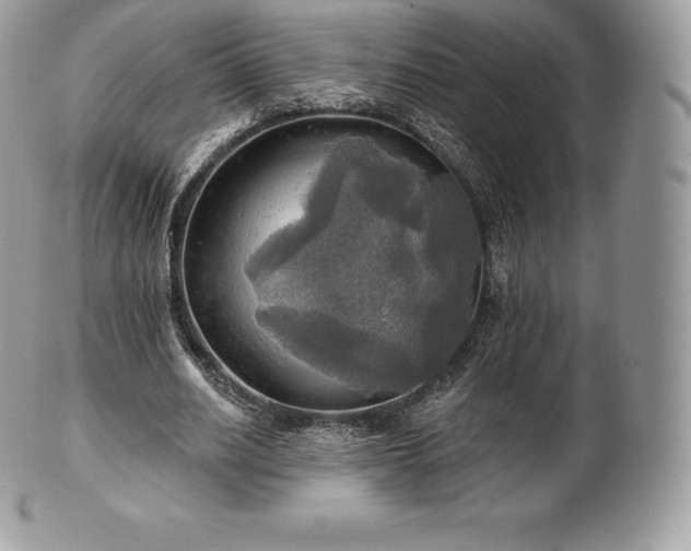 X0000101160630200807071158