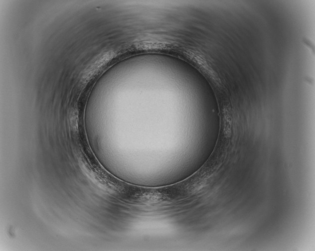 X0000101160631200807071158