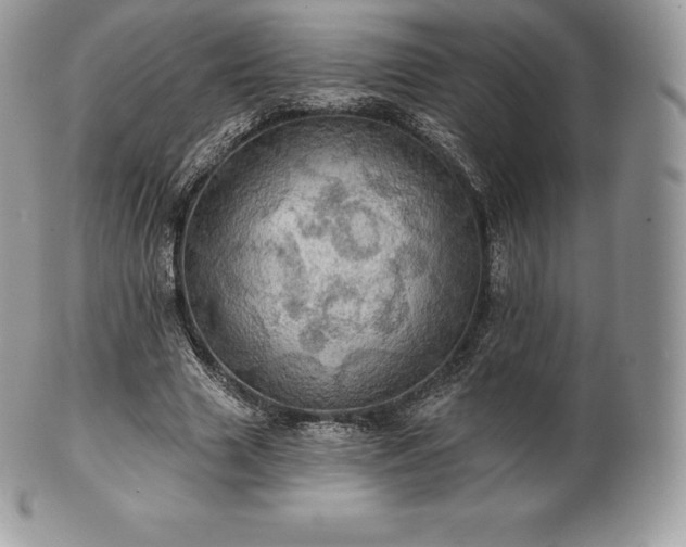 X0000101160633200807071159