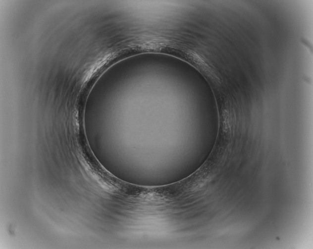 X0000101160634200807071159