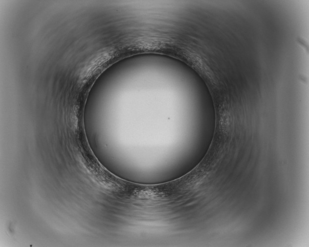 X0000101160635200807071159