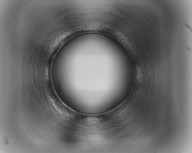 X0000101160636200807071159