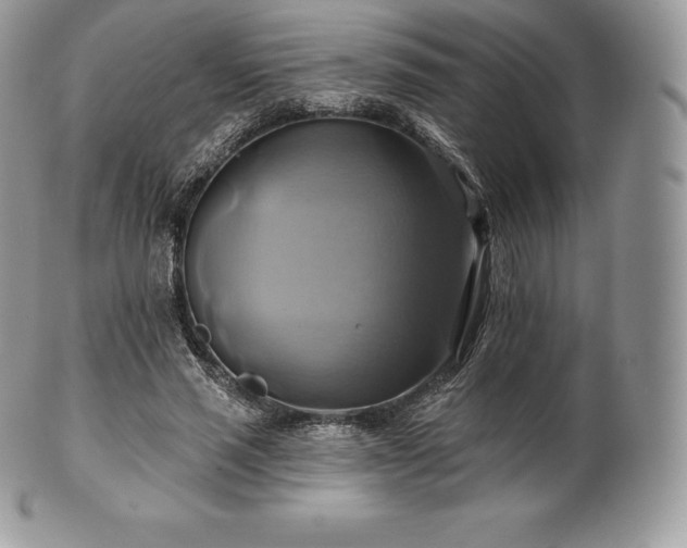 X0000101160637200807071159