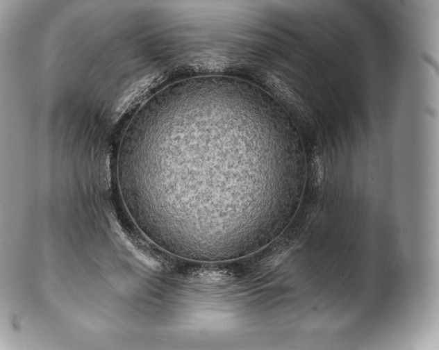 X0000101160638200807071159