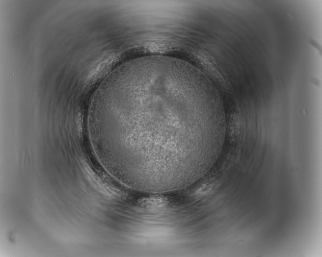 X0000101160639200807071159