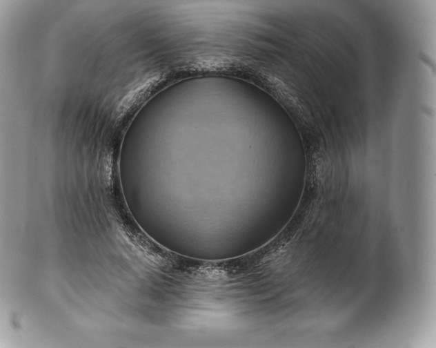 X0000101160640200807071159