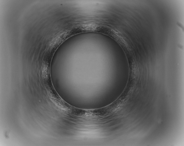 X0000101160641200807071159