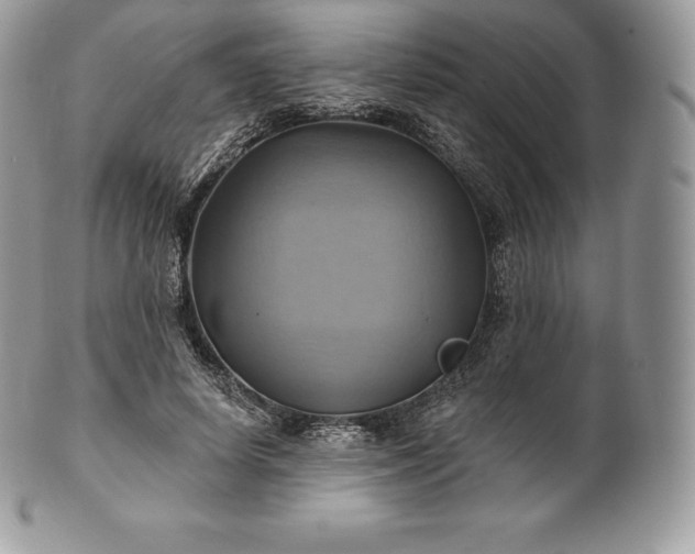 X0000101160642200807071159