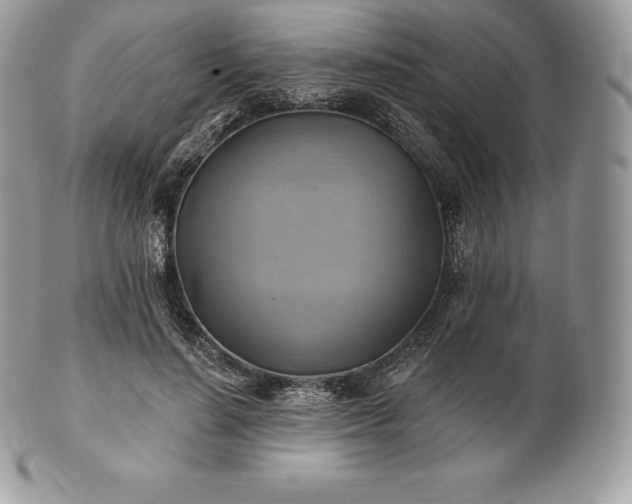 X0000101160644200807071159