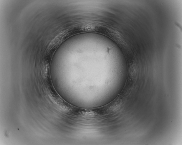 X0000101160645200807071159