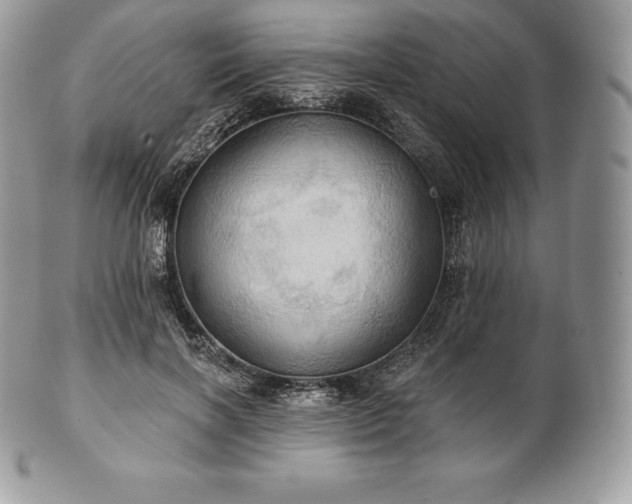 X0000101160646200807071159