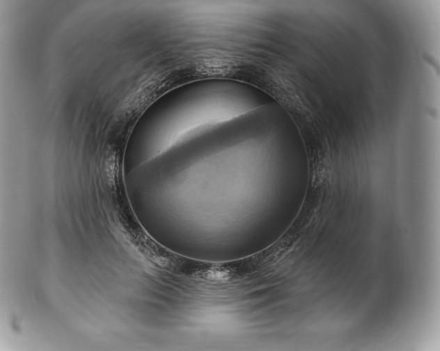 X0000101160647200807071159