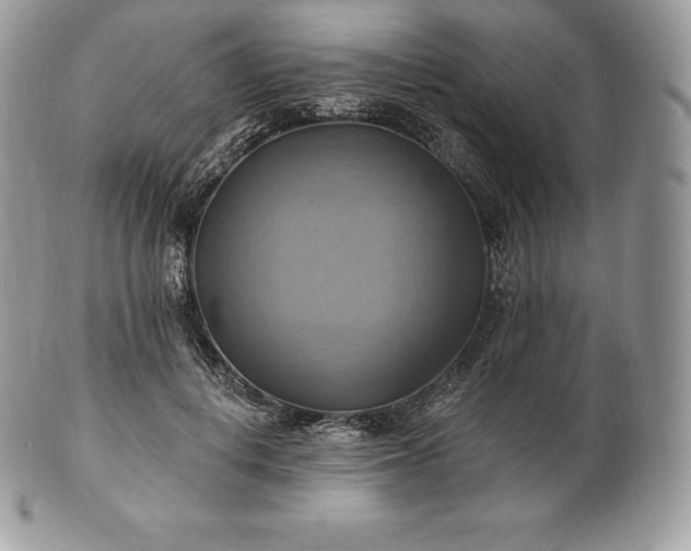 X0000101160648200807071159